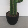 Cactus en pot noir