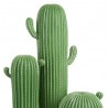 Cactus Cylindrique Vert
