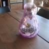 Vase Transparent Piperi Rose