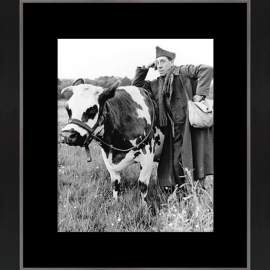 Tableau Image La Vache et le Prisonnier 40x46